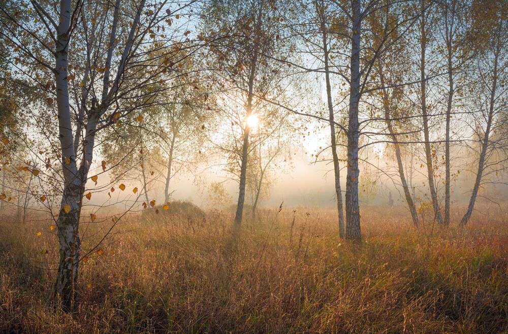 Мгновения рассвета