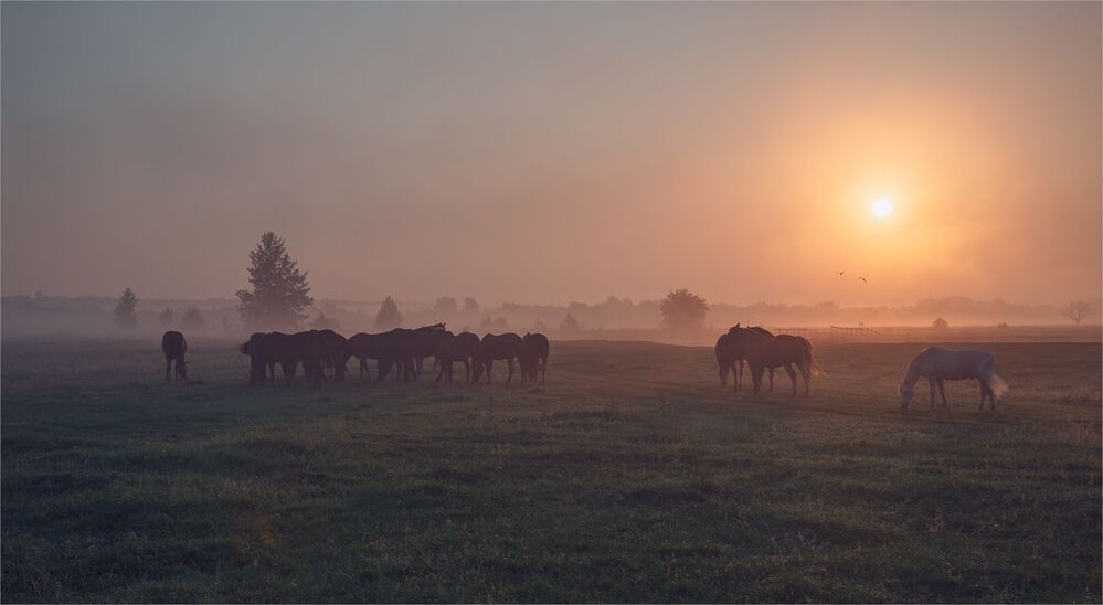 morning on the prairies....