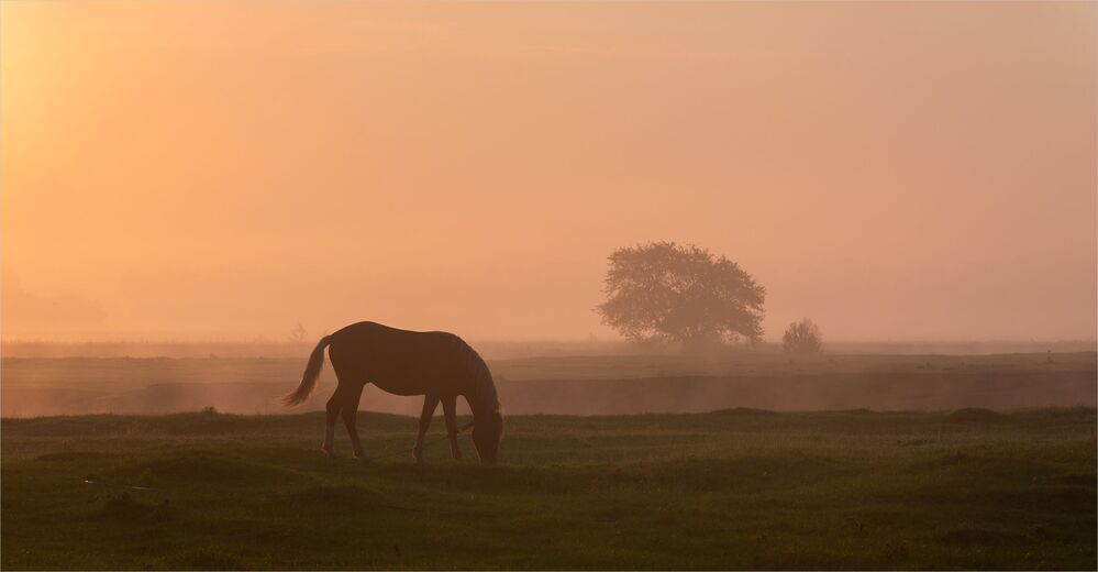 morning on the prairies....