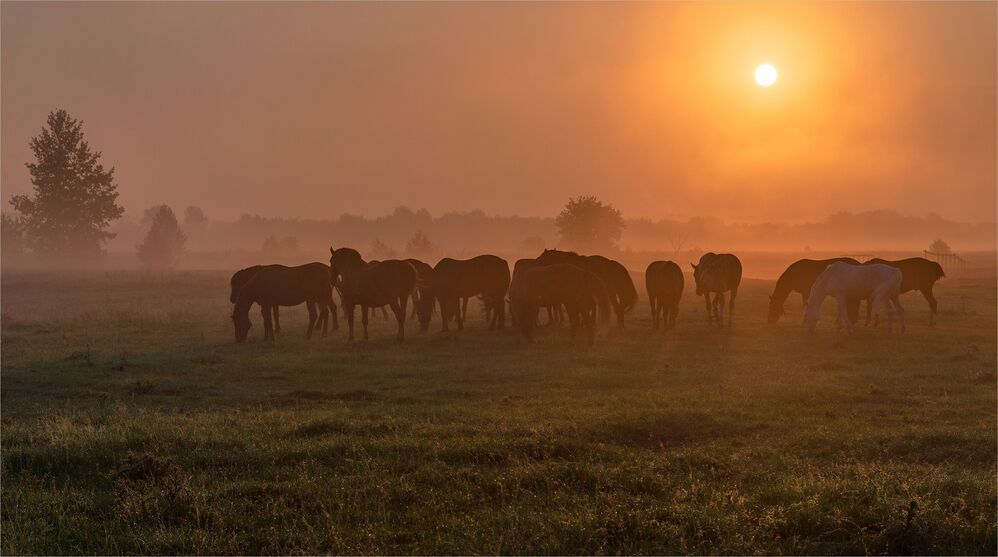 morning on the prairies....