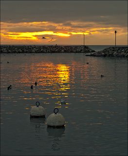 Женевское озеро лежит в пойме реки Рона и имеет форму полумесяца, изгибающегося в районе деревни Ивуар. Изгиб естественным образом делит Женевское озеро на Большое (фр. Grand Lac) и Малое озёра (фр. Petit Lac).