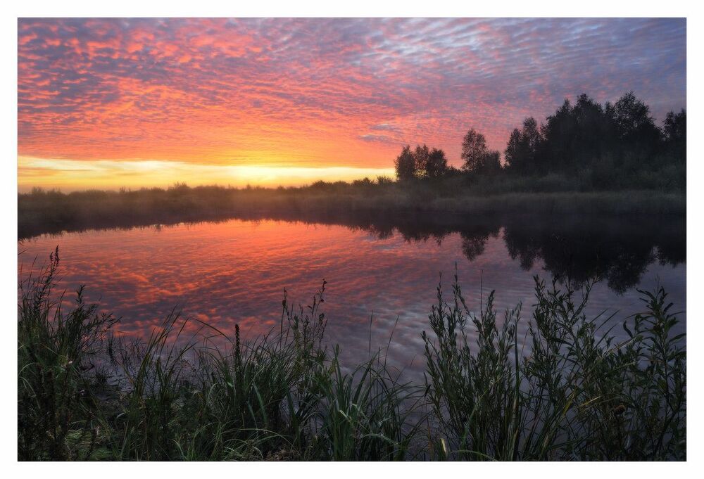 Photo 173460