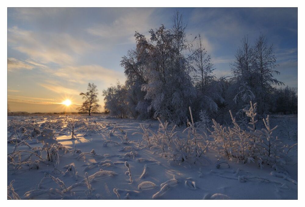 Photo 173462