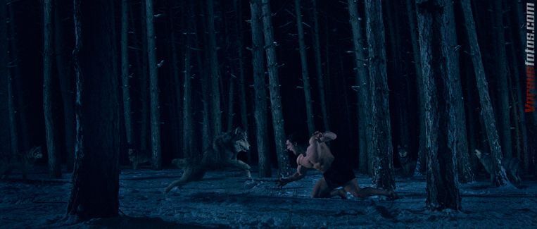 Rati Tsiteladze Vs wolves