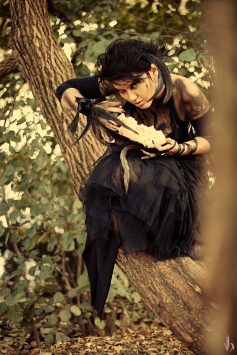 raven