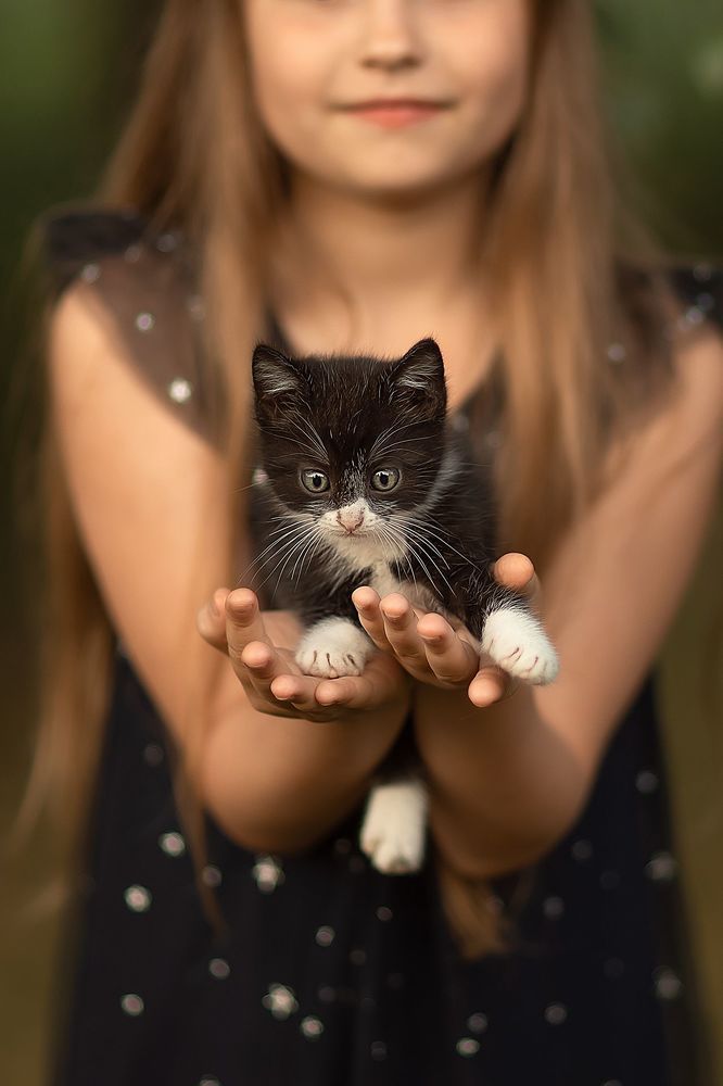 Котофоты