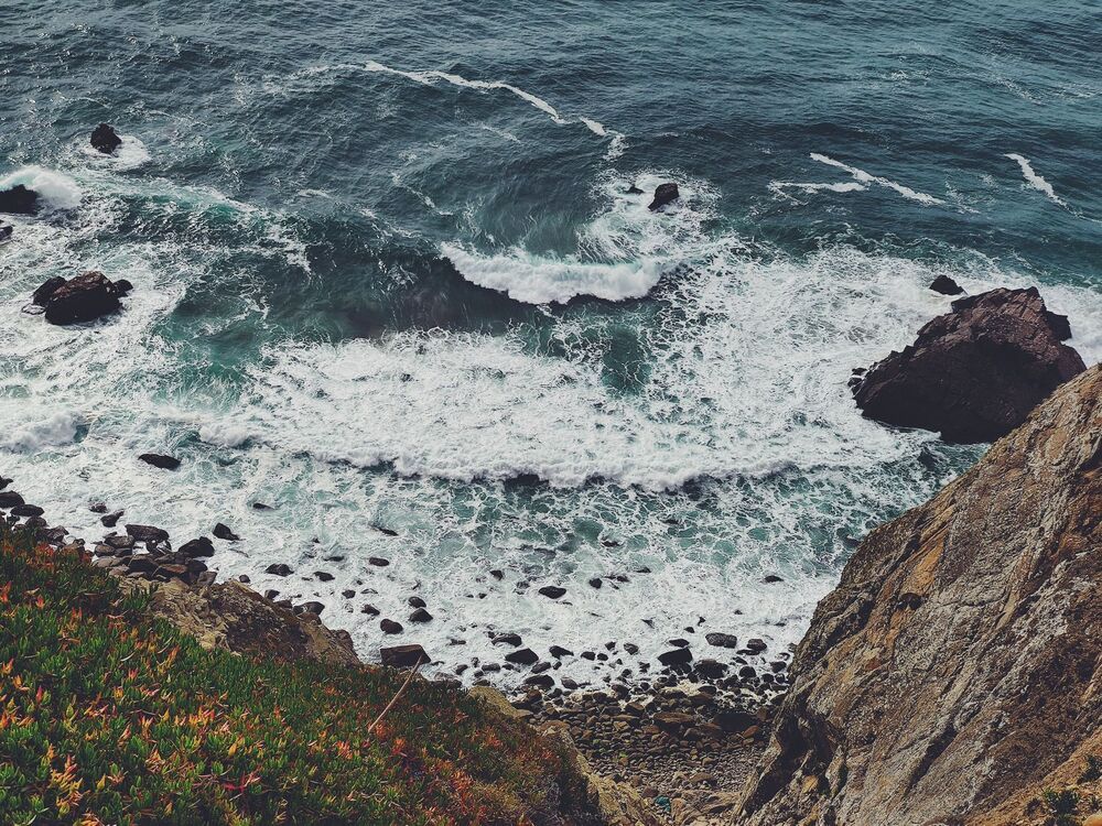 Photo 1730462