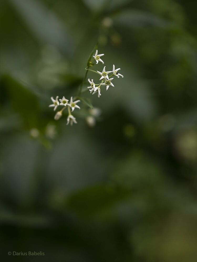 Photo 1730962