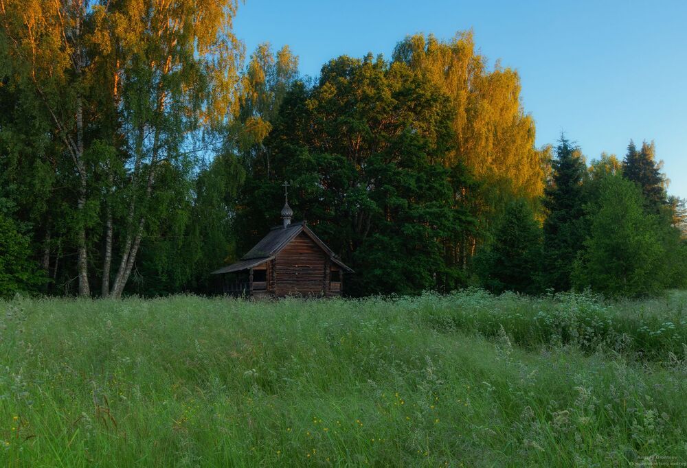 Тверская область, Торжокский район, усадьба Василево.
