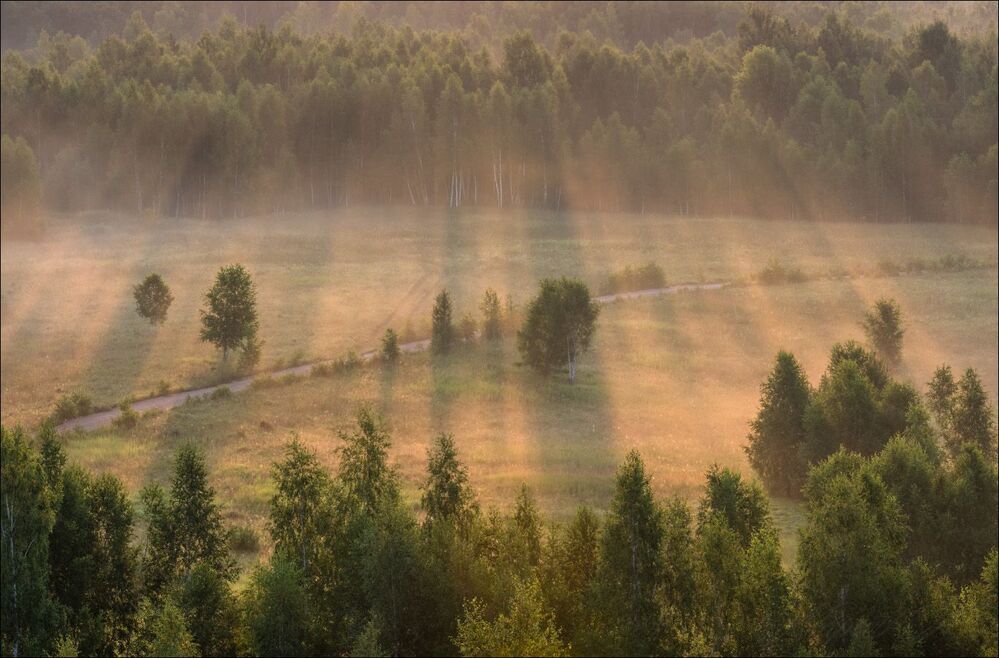 Нежные лучи утра
