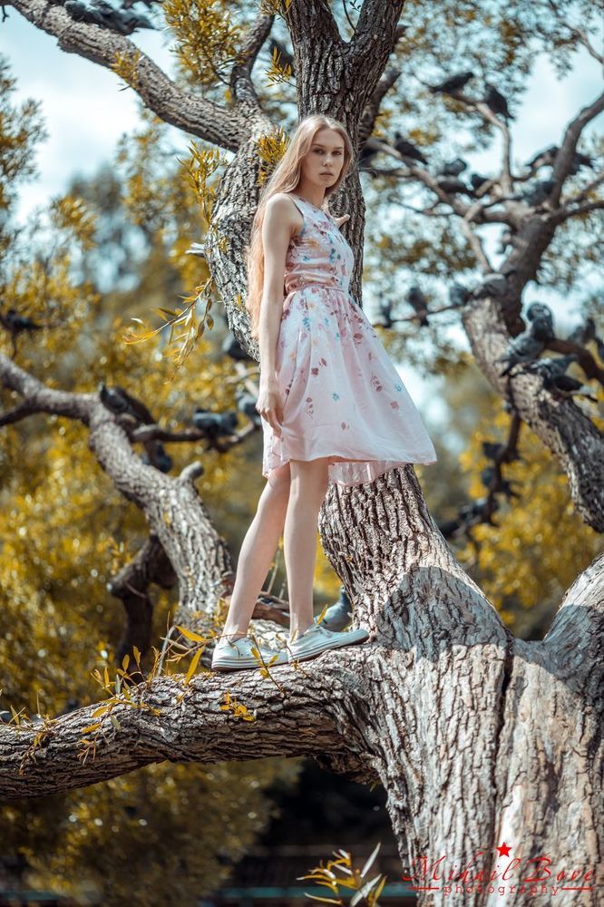 Walk on top of trees