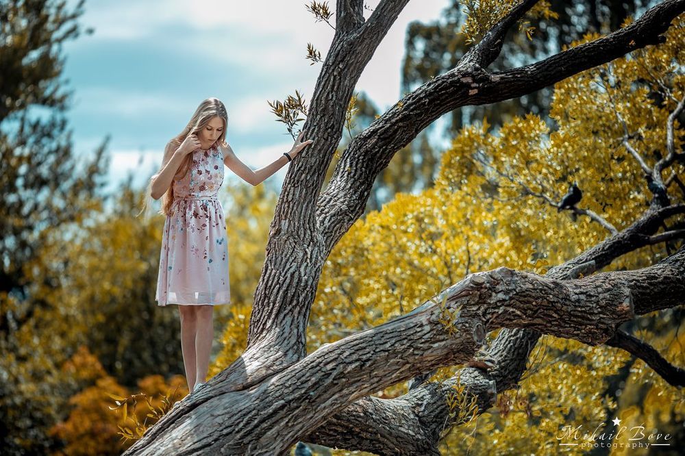 Walk on top of trees