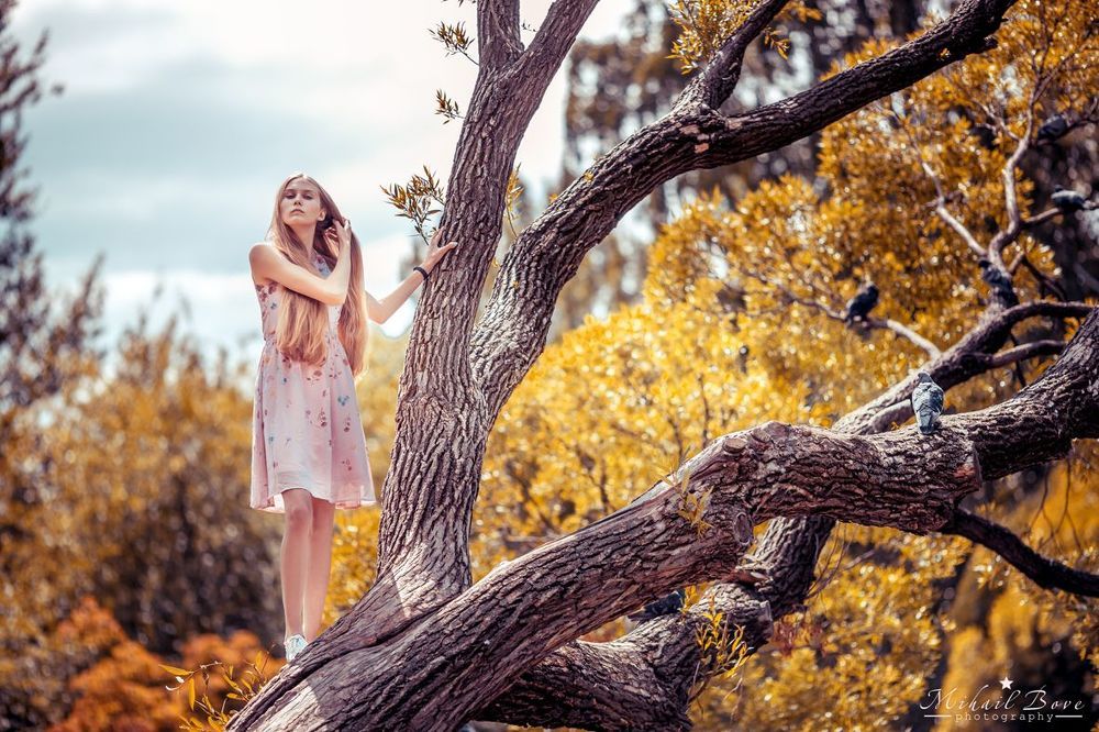 Walk on top of trees