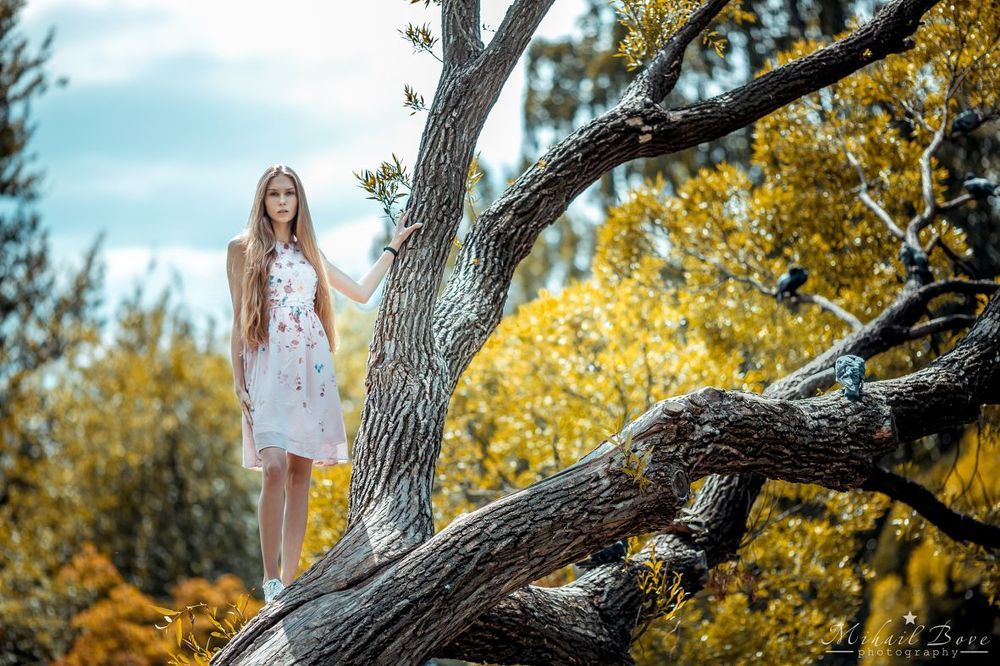 Walk on top of trees
