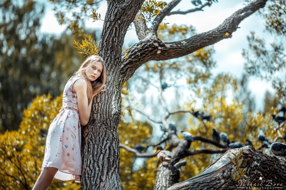 Walk on top of trees