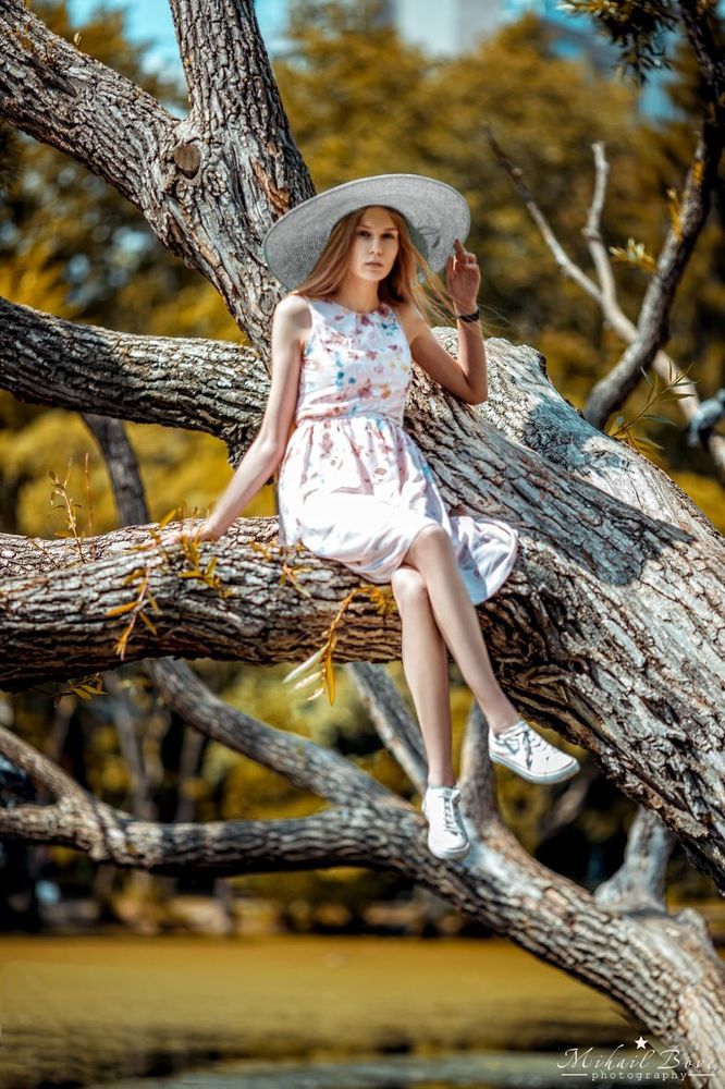 Walk on top of trees