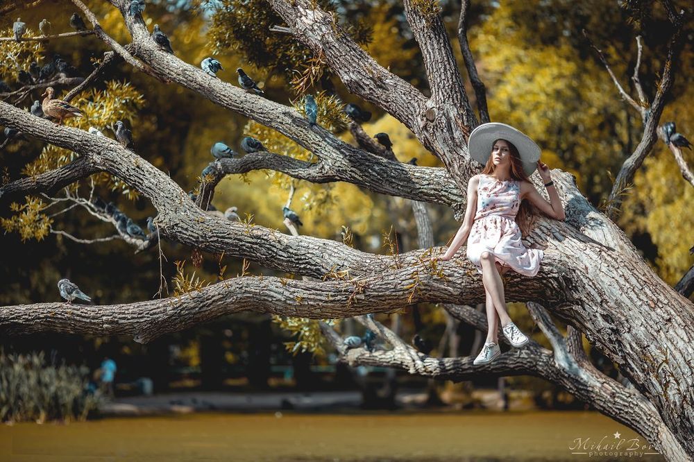 Walk on top of trees