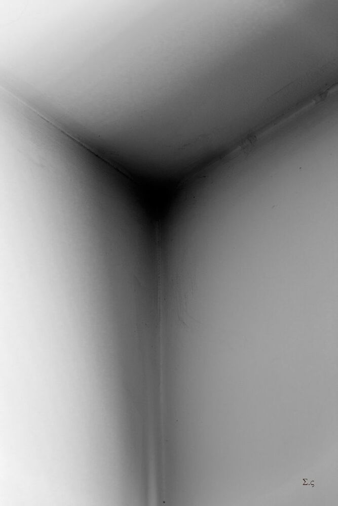 10 фотографий