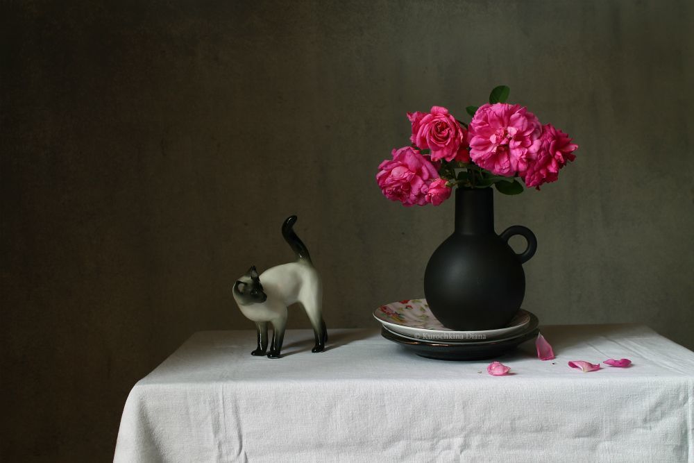 с сиамским котом