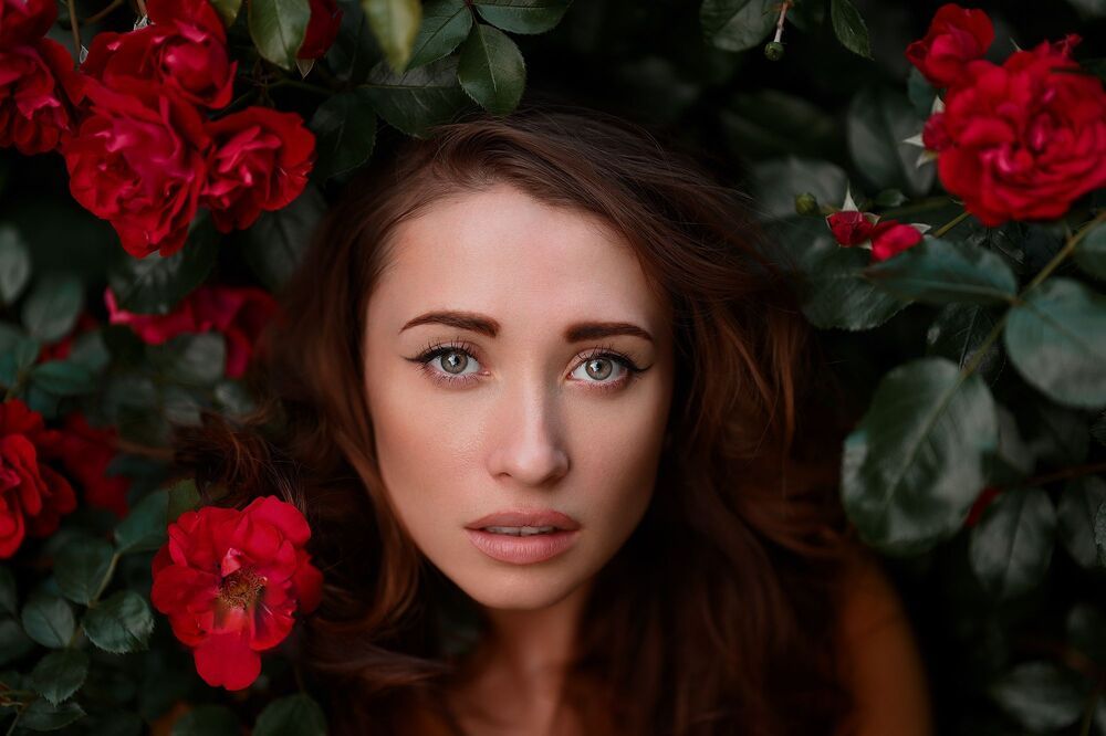 Roses