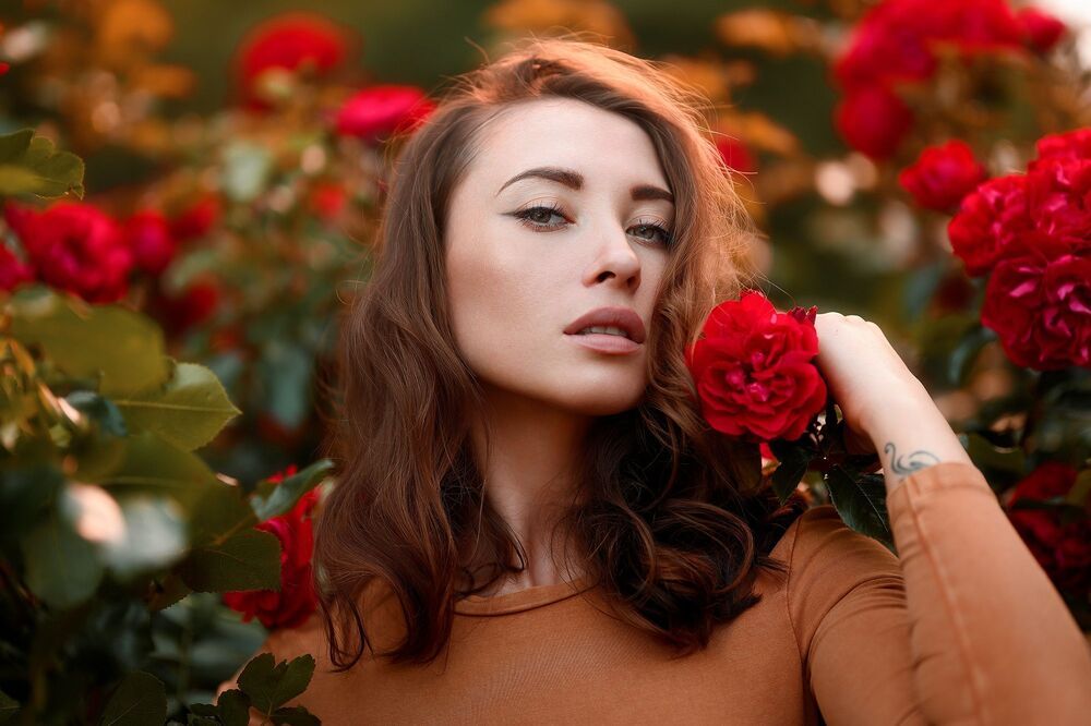 Roses