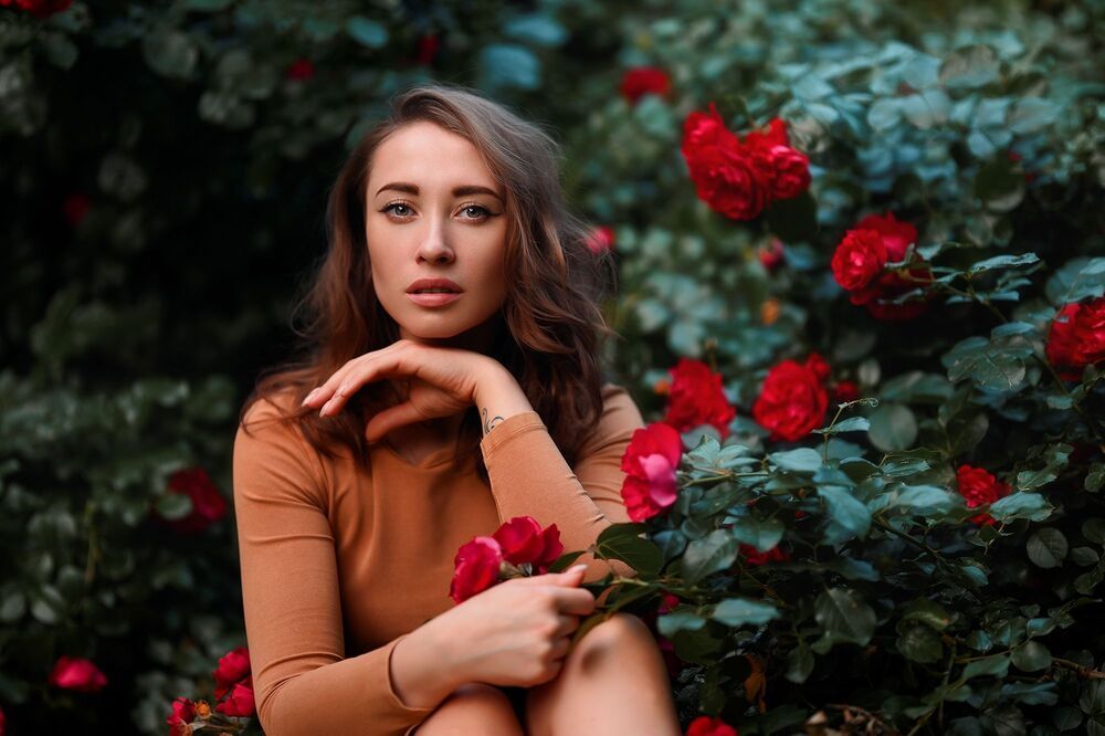 Roses