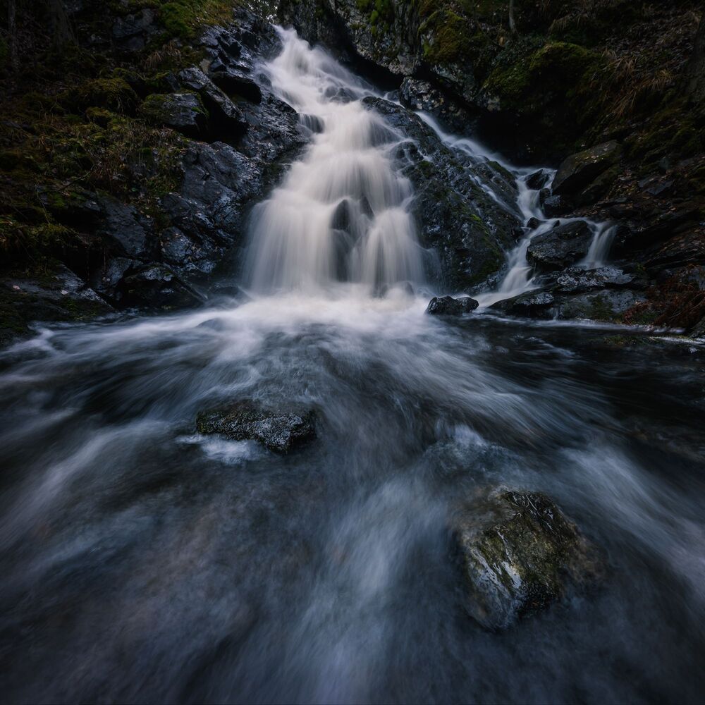 Photo 1735209