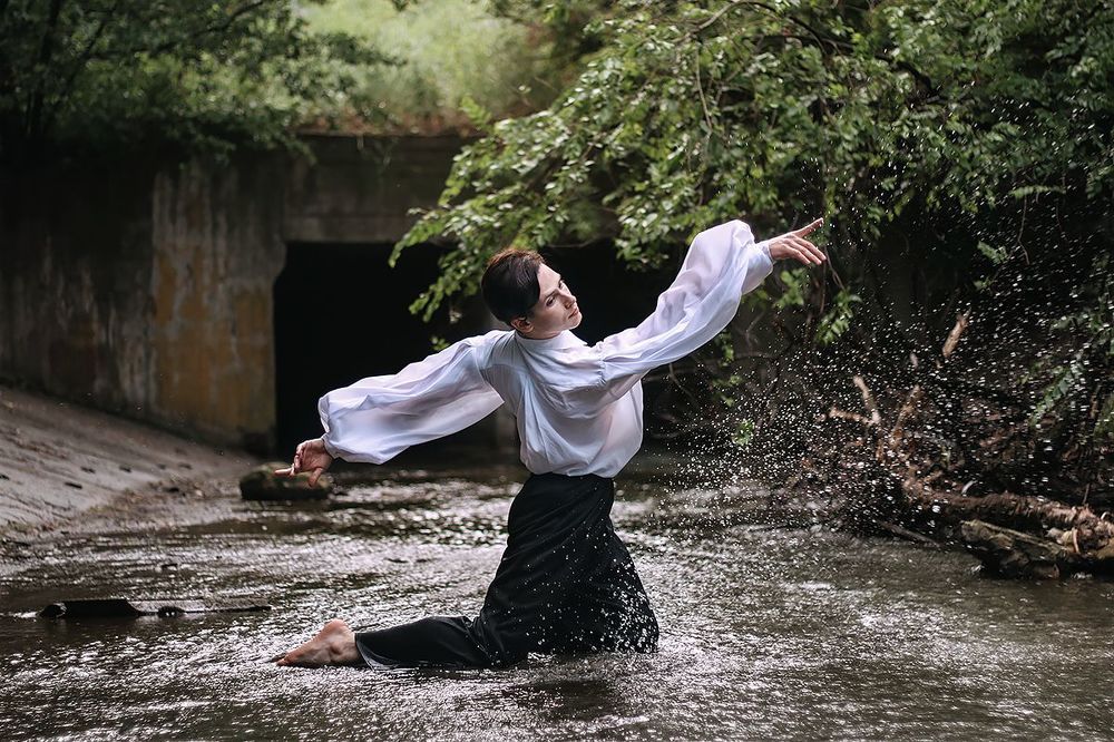 Fi&egrave;vre du ballet