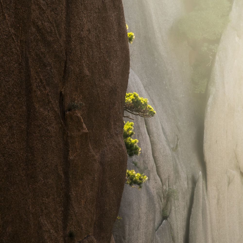 A moment in Huangshan