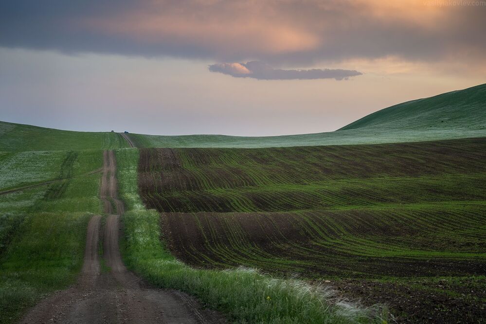 Уральский бархат