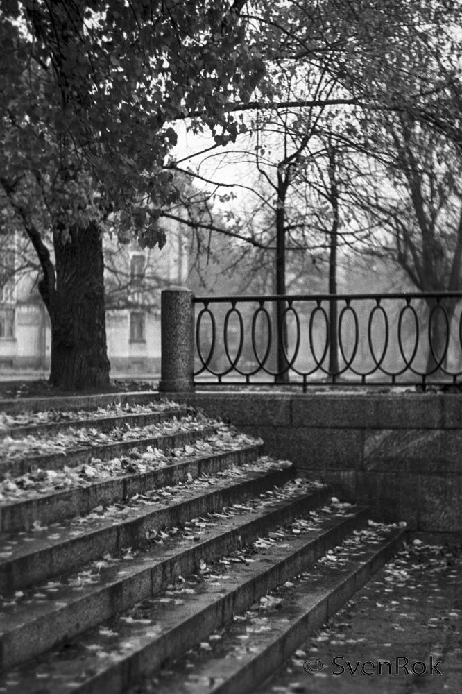 Дождливый Питерский день. Rainy Petersburg day.