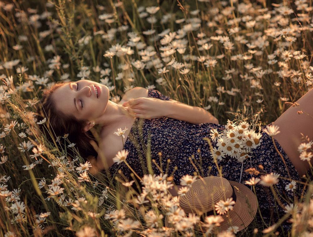 Ромашки