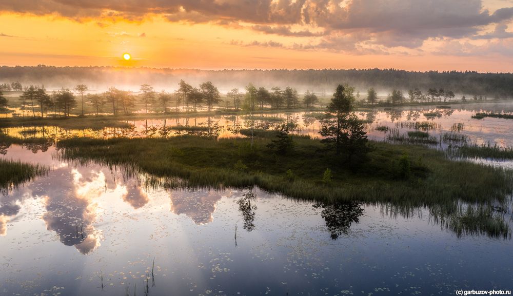 Галкинские болота. Калужская область