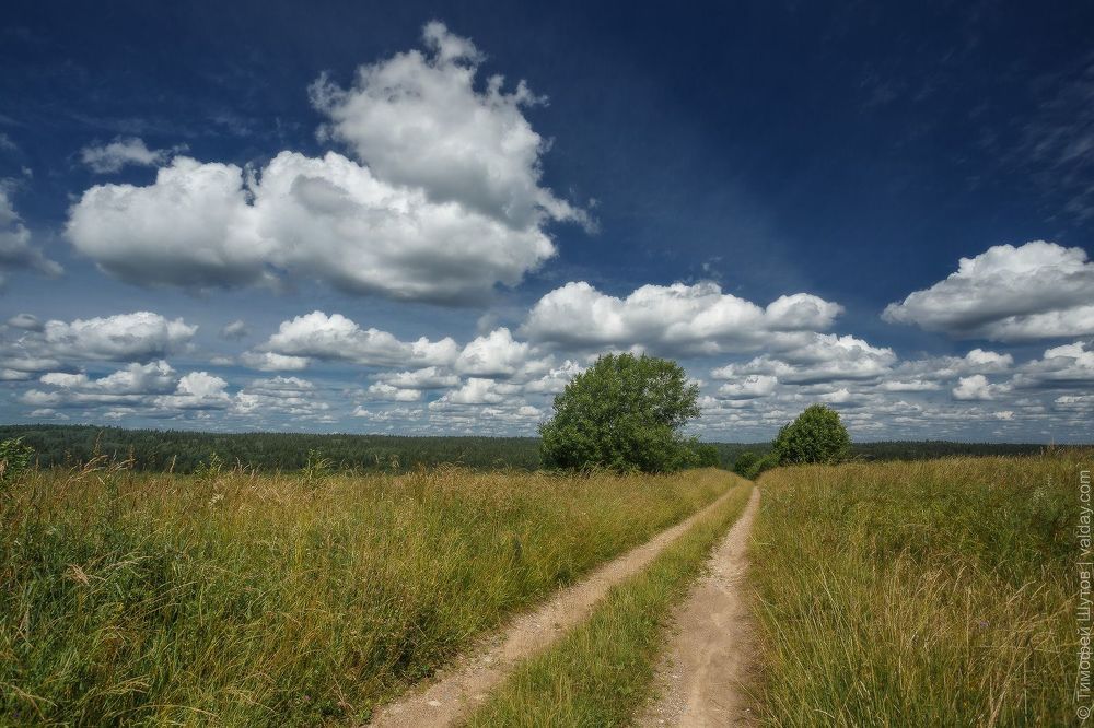 &laquo;Это твоя родина, Коленька...&raquo;