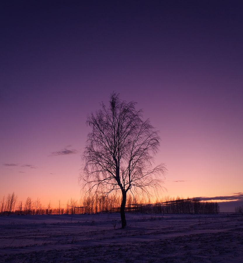 Photo 174692