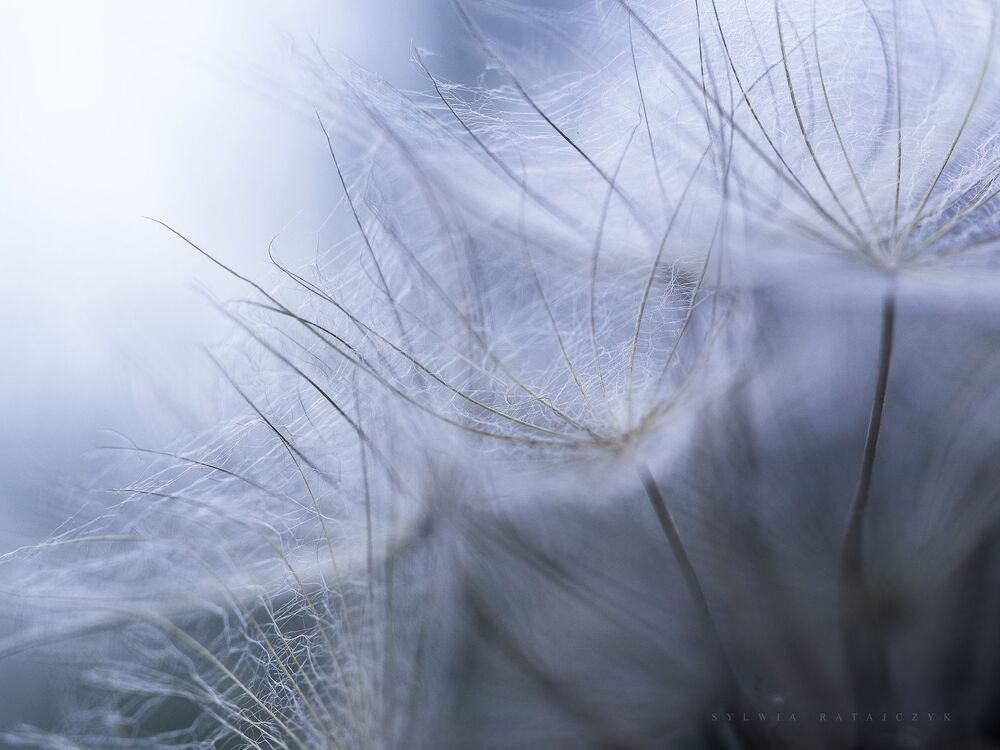 Photo 1741437