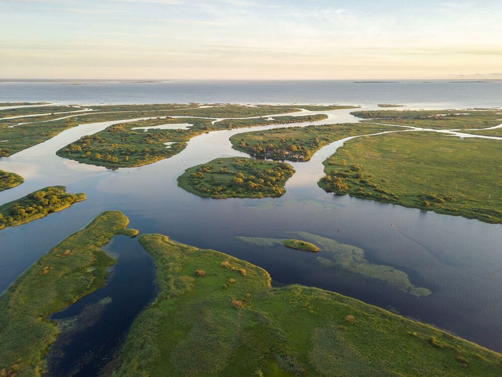 Псковская Амазонка.
