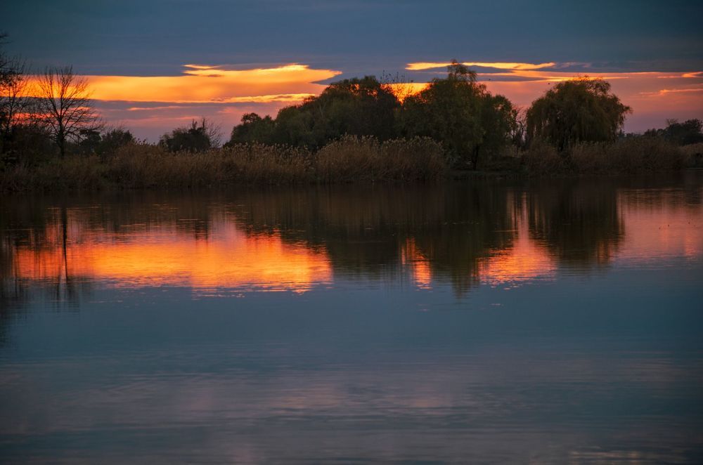 Заря