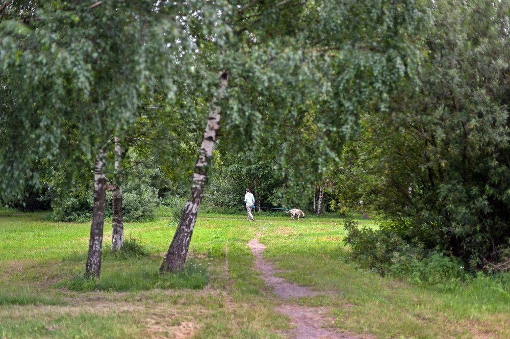 Прогулка по парку