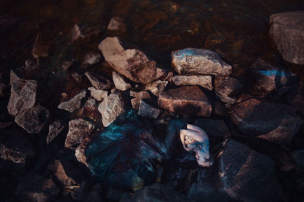 Photo 1744595