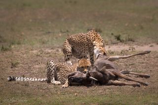 Победители и побежденный.