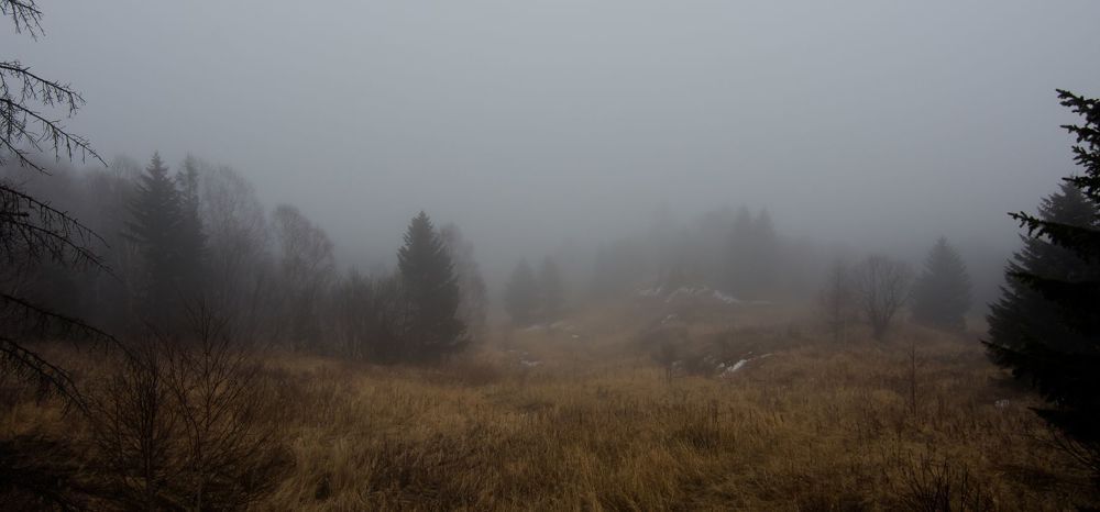 Melancholy road