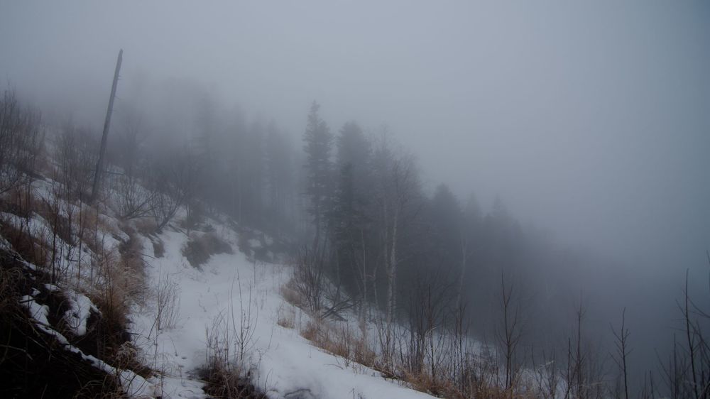 Melancholy road