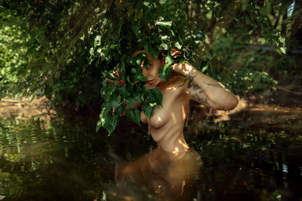 Photo 1746908
