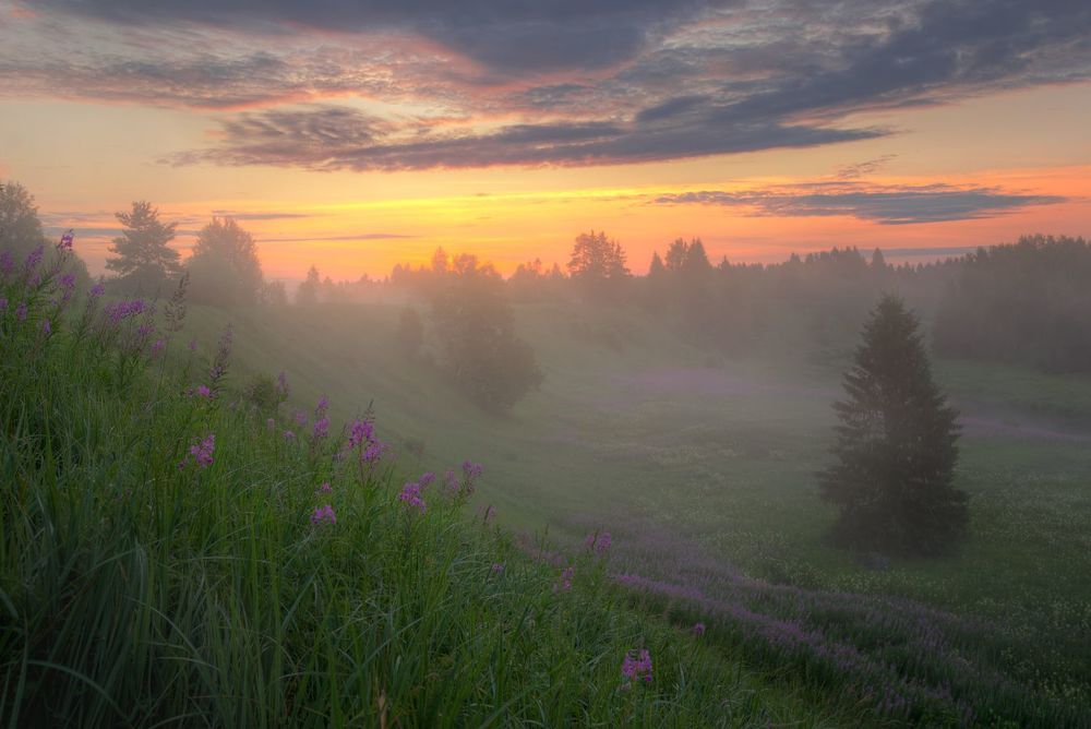 Лето - это маленькая жизнь