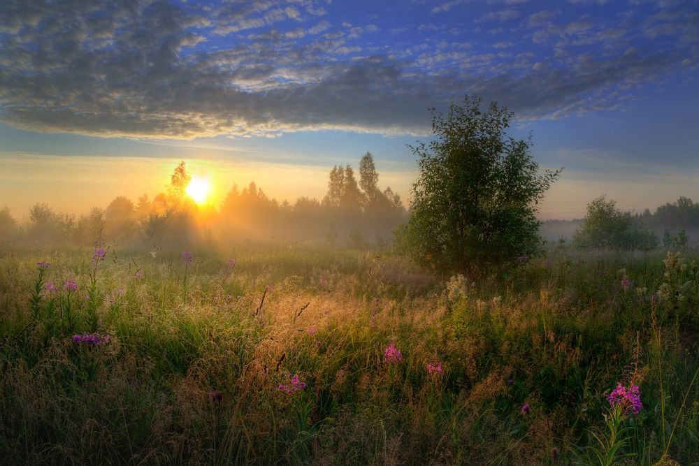 Лето - это маленькая жизнь