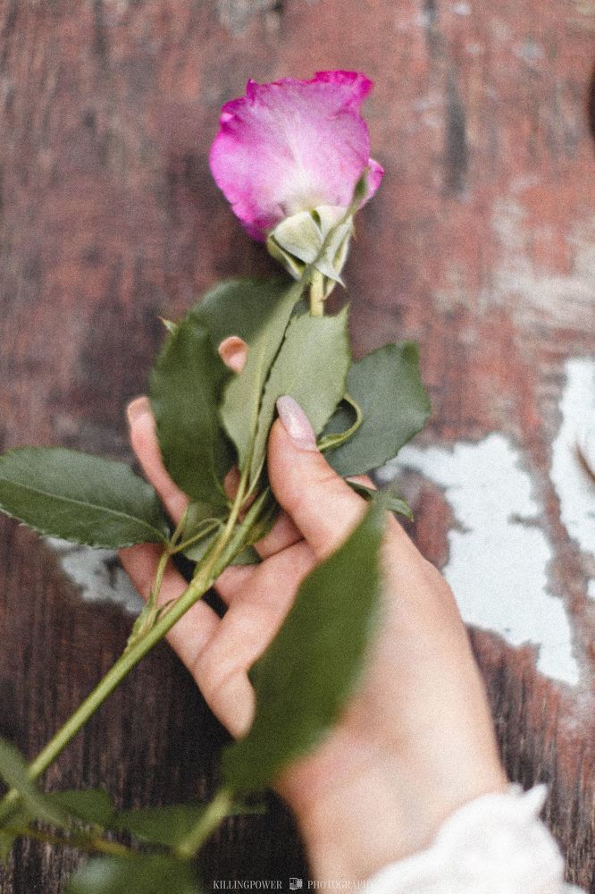 https://www.instagram.com/valerabatay