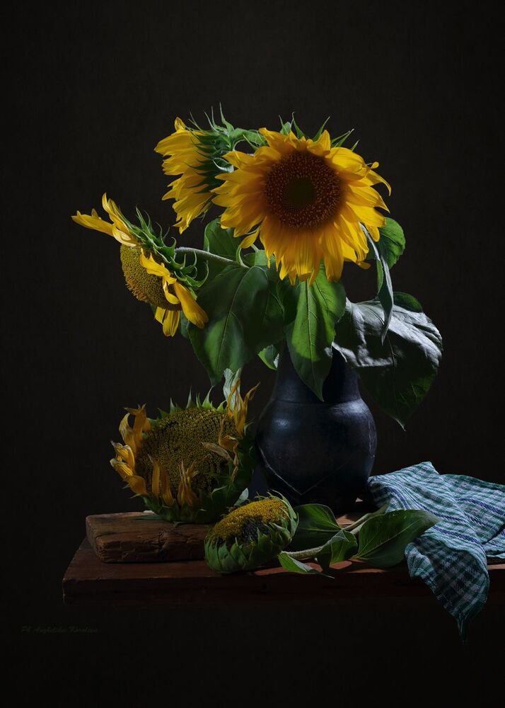 подсолнухи,,