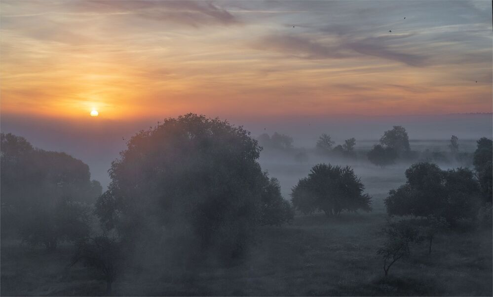 mystic morning...