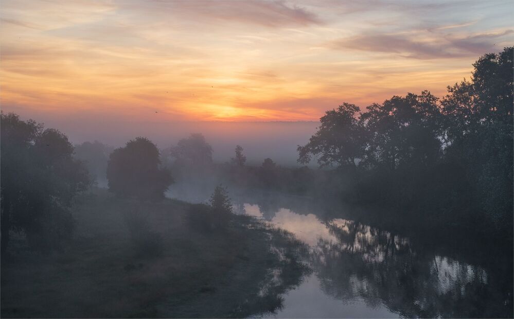 mystic morning...